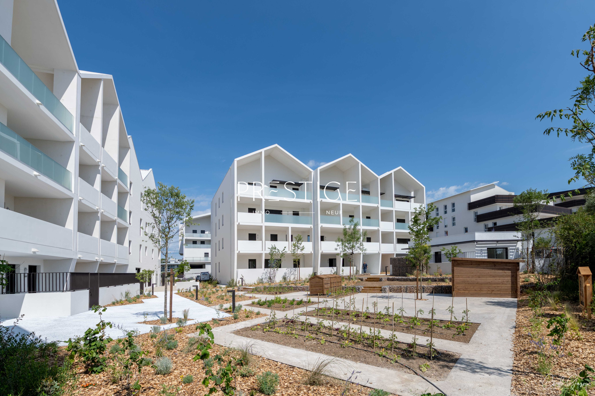 SAINT-JEAN-DE-VÉDAS ROQUE FRAISSE SUPERBE T2 AVEC GRANDE TERRASSE, PARKING ET VUE DÉGAGÉE